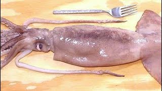 Amazing Giant Squid Cutting and Processing Skill - Amazing Fastest Squid Catching on the Sea