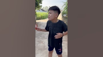 Tạp Hóa Tippi Tập 51| Áo Hồng Có Thông Minh Không 🐓 - Tippi TV