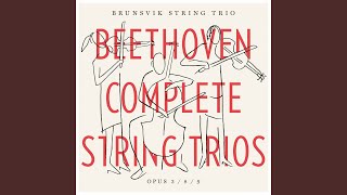 String Trio No. 1 in E-Flat Major, Op. 3: II. Andante
