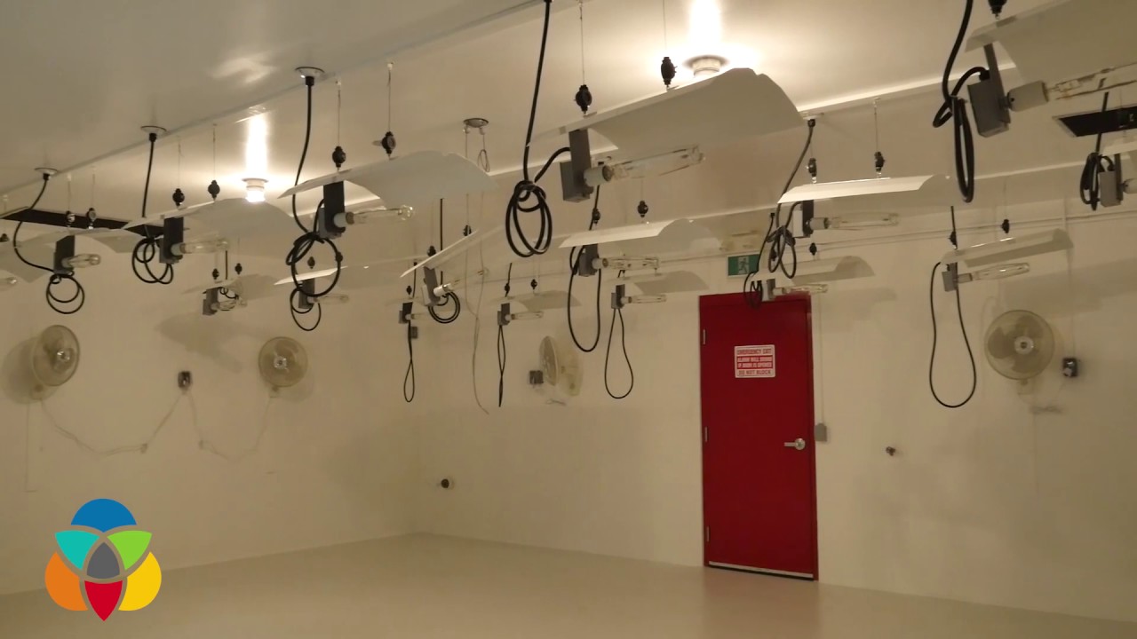 KelownaNow visits Valens Agritech Ltd