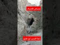 جبل مدر الجبل المسكون بالجن حدث بالفعل قصص رعب قصيرة جن اضغط على زر الاشتراك اسفل الفيديو