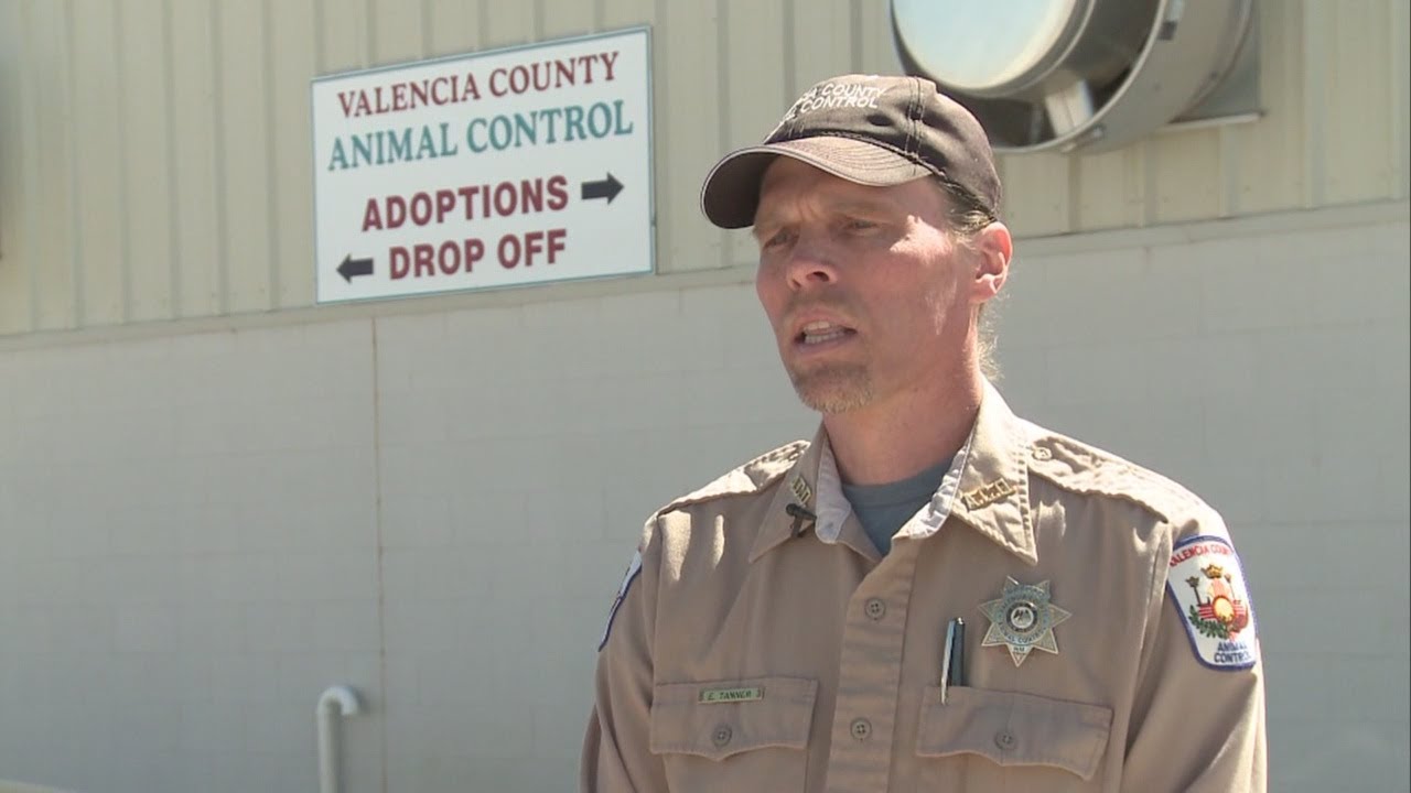 Livestock inspector charged with animal cruelty