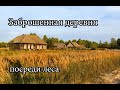 Заброшенная деревня Вознесеновка