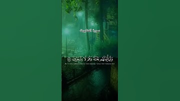 #لايك #اكسبلور #قرآن #راحة_نفسية #اسلام_صبحي #سورة العنكبوت