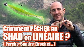 Comment pêcher au SHAD en LINEAIRE ? (perche, sandre, brochet...)