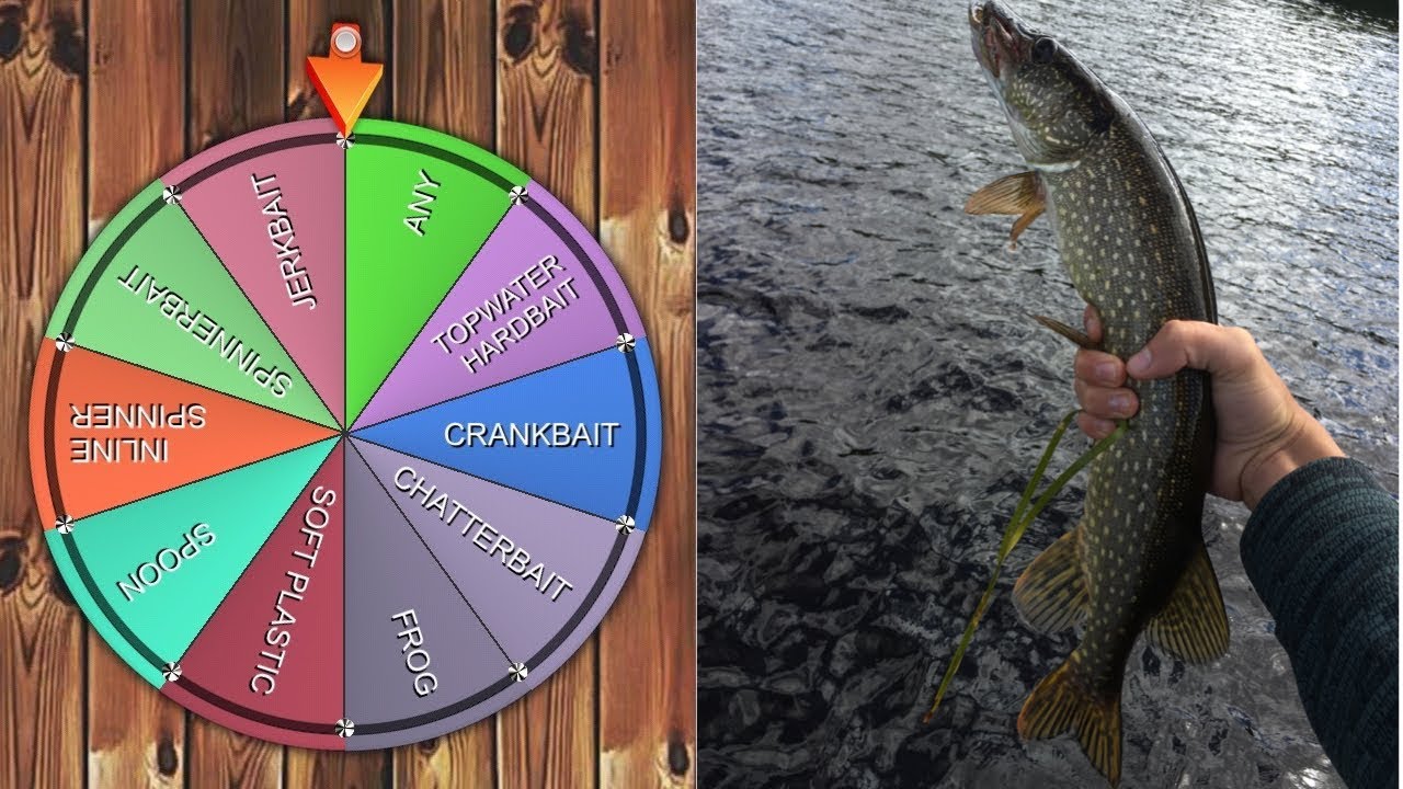 Spin the Wheel Roulette Pike Fishing Challenge - 10 Different Baits ...