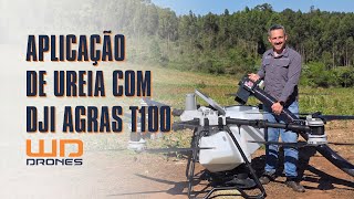 Aplicando Ureia No Milho Com O Drone Dji Agras T100 E O Abastecedor De Sólidos Feeder Da Jr Soluções