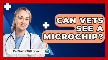Can Vets See A Microchip? - PetGuide360.com