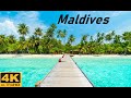 The very beautiful nature of Maldives ( Sun Island Hotel ) part 2