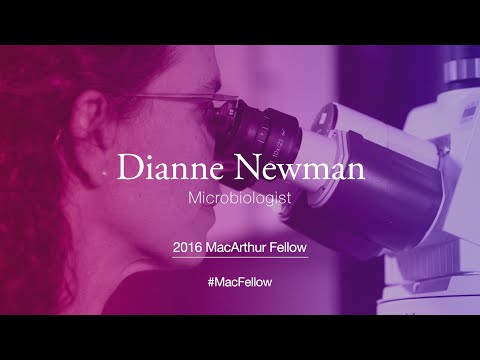 Microbiologist Dianne Newman | 2016 MacArthur Fellow