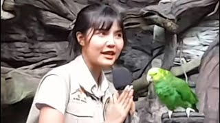 นกแก้วอเมซอนพูดนมัสเตสวัสดีอินเดีย Amazon parrot speaks namaste hello India l Safari World-SurasanV