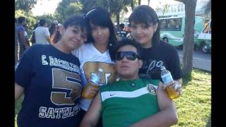 bacho 5 o e s