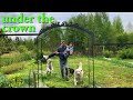 DIY decorative garden fence with arbor from metal profile and wire