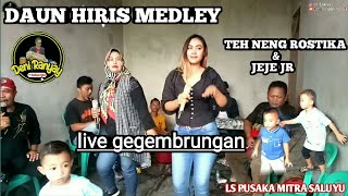 Daun Hiris Medley Voc Teh Neng Rostika U0026 Jeje Jr  Gegembrungan Ciganitri Ls Pusaka Mitra Saluyu