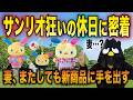 妻の休日に完全密着vlog【サンリオ新作!!キャラキラ祭り】