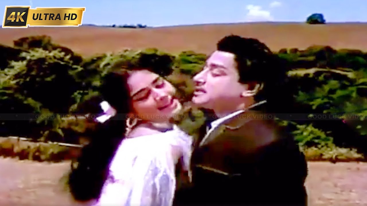 ஹாப்பி இன்று முதல் பாடல் | Happy Indru Mudhal Song | T.M.Soundararajan, Susheel | Ooty Varai Uravu .