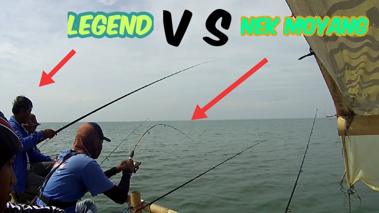 MANCING UMPAN LEGEND VS UMPAN NENEK MOYANG - Di Bagan Lontar || Umpan