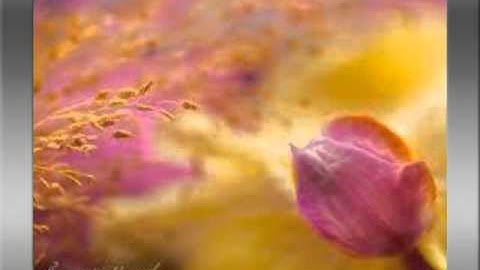 قراء مدينة مراكش : ماتيسر من سورة هود مع الشيخ أسامة دارري