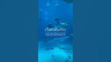 آيات من القرآن #ايات_القرآن_الكريم #اكسبلور #ايات_قرانيه_قصيره #راحة_نفسية #آيات_من_كتاب_الله
