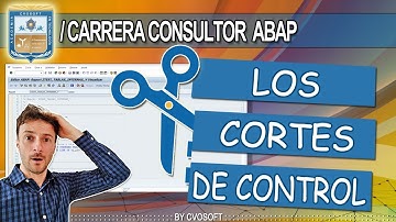 🎓ABAP 2025 ►Los Cortes de Control  ABAP | CVOSOFT