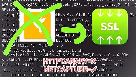 HTTPCANARY O
