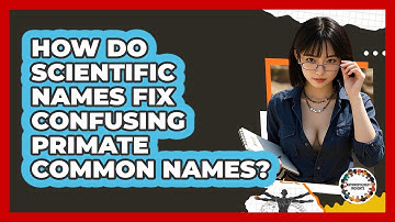 How Do Scientific Names Fix Confusing Primate Common Names? - Anthropology Insights