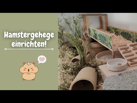 Video: Reis und Hühnchen als Hundefutter zubereiten – wikiHow