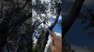 Plumbing Outdoor Shower