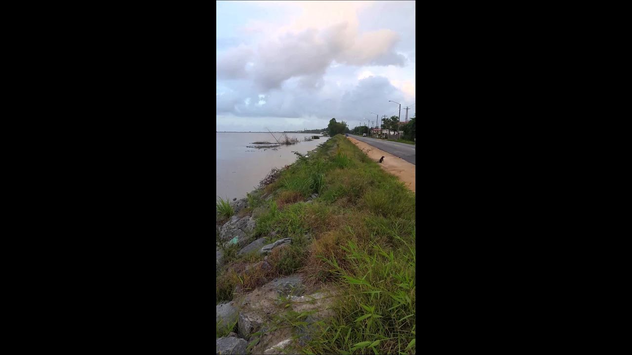 GUYANA DEMERARA RIVER....EAST BANK YouTube
