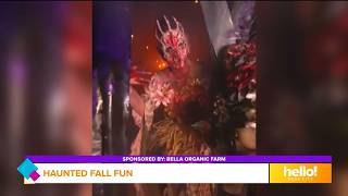 Go inside the stalks of Bella Organic Farm's haunted corn maze