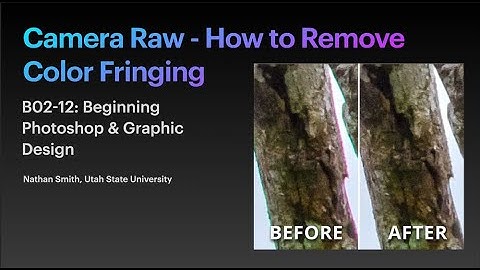 Camera Raw   How to Remove Color Fringing in Your Photos