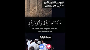 سورة البقرة اية 186||بوت القرأن الكريم    Surat Al-Baqarah ayah 186 || Bot Quran kareem