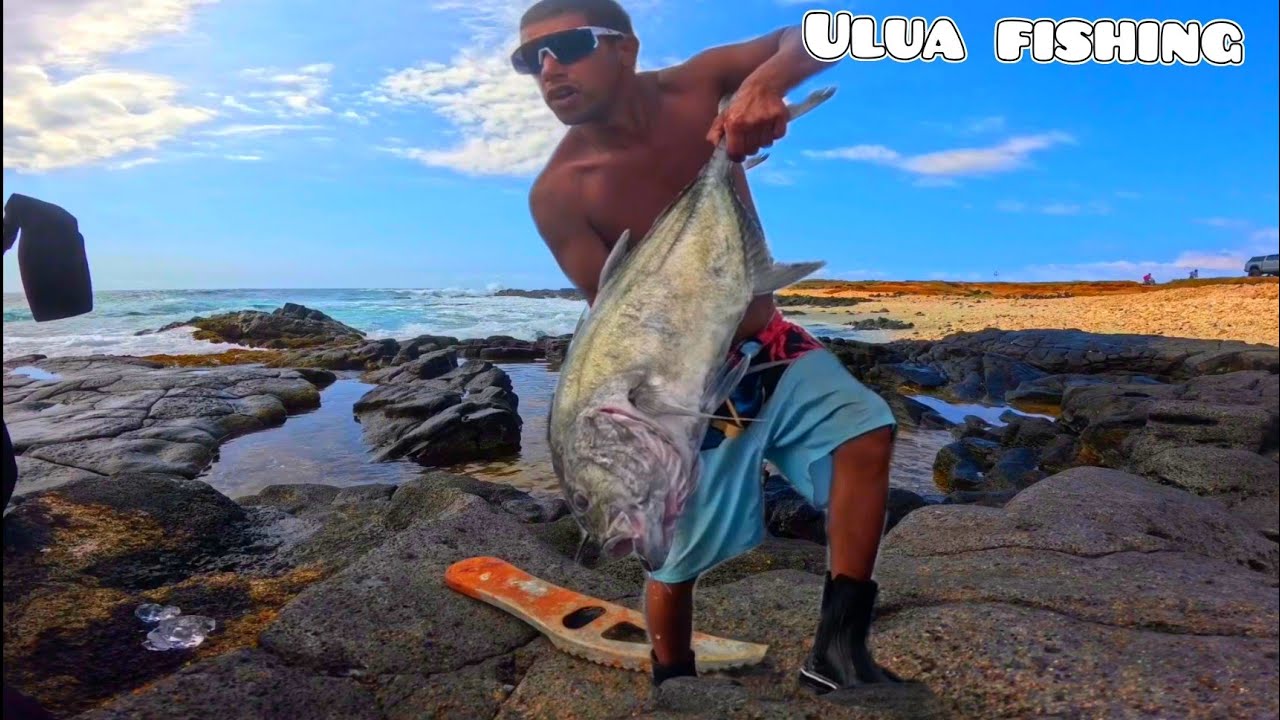 ulua fishing hawaii catch and cook on bigisland of hawaii/& some throw net ACTION 