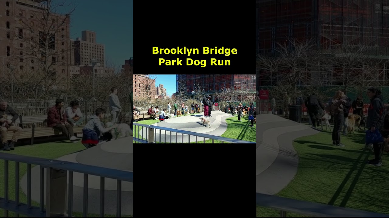 Brooklyn Bridge Park Dog Run 🐕 New York 