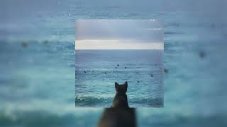 Blue  Yung Kai speed Up