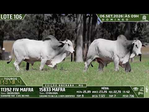 LOTE 106