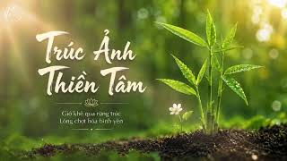 Trúc Ảnh Thiền Tâm | 3-Hour Bamboo Shadow Zen Guzheng & Flute Music | Deep Focus & Sleep