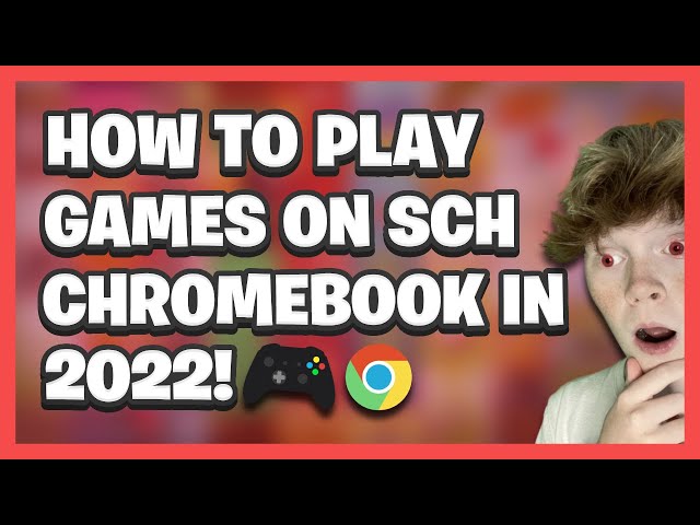 How to install SSF2 on a Chromebook 