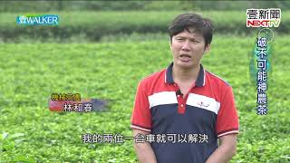 壹Walker-第167集 part1 破不可能神農茶