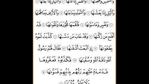 سورة الشمس بصوت القارئ الصغير يوسف عصام الجد