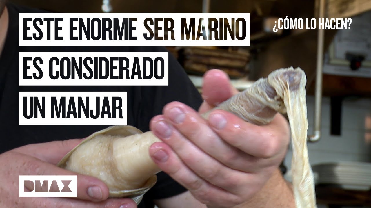 ¿Te atreverías a probar la almeja más grande del mundo?  | ¿Cómo lo hacen?