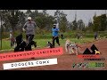 Primer entrenamiento de Canicross con Doggers Urban Mushing CDMX