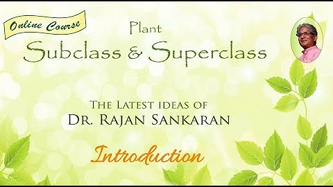 Plant Subclass   Introduction