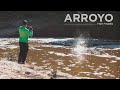 Pesca de Dorados en Arroyos Santafesinos, Una Búsqueda Diferente