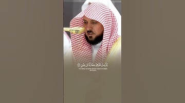 تلاوة بديعة من الشيخ #ماهر_المعيقلي #المصحف