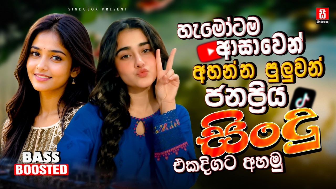 2026 අලුත්ම ජනප්‍රියම වයිරල් සිංදු ටික | New Top Sinhala Collection | Trending Songs | Sinhala Songs