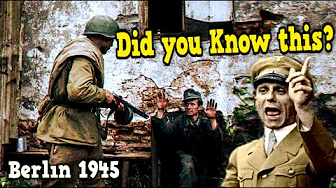 6 Shocking Facts About the Battle of Seelow and Berlin 1945 | Luftwaffe, Seydlitz, Dogs, Steiner...