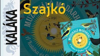 Video thumbnail of "Weöres Sándor: Szajkó | Muzsikáló madárház - A Kaláka és Gryllus Vilmos dalai"