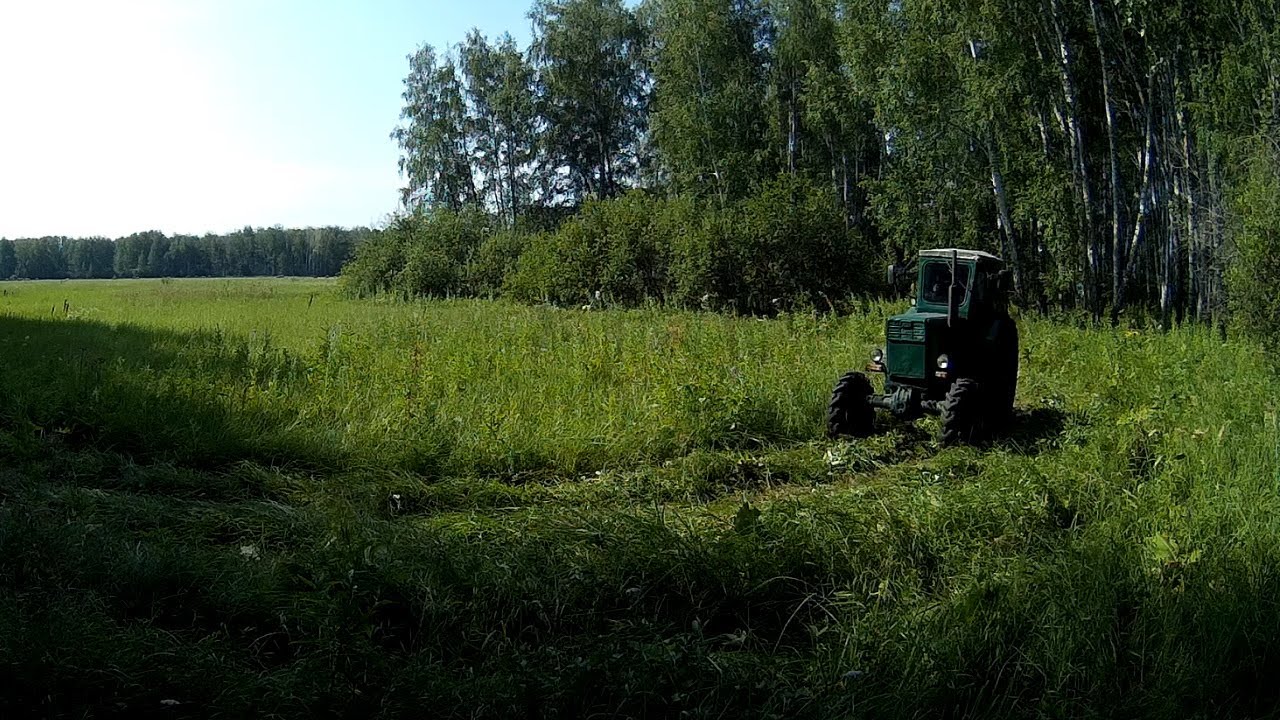 Начало конца... Сенокоса! Кошу поле с навозом, фрезерованными и ...