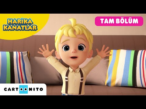 HARİKA KANATLAR | Domuz Yarışı | CARTOONITO TAM BÖLÜM | Cartoon Network Türkiye